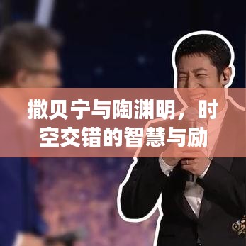 撒贝宁与陶渊明,时空交错的智慧与励志力量