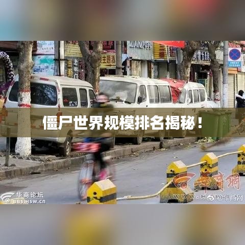 僵尸世界规模排名揭秘!