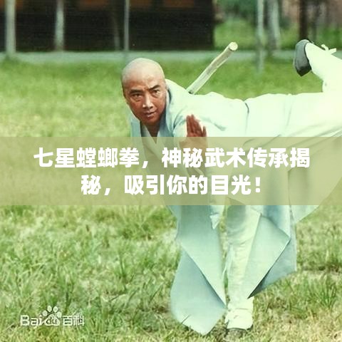 七星螳螂拳,神秘武术传承揭秘,吸引你的目光!