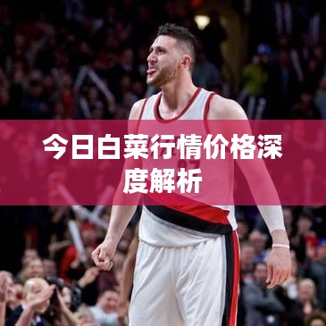 今日白菜行情价格深度解析