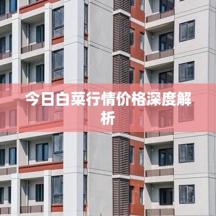 今日白菜行情价格深度解析