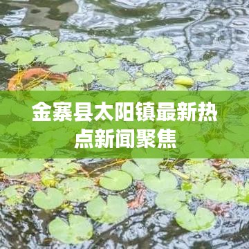 金寨县太阳镇最新热点新闻聚焦
