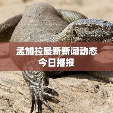 孟加拉最新新闻动态今日播报