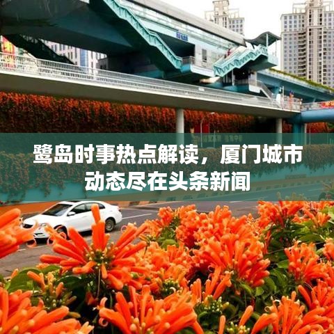 鹭岛时事热点解读，厦门城市动态尽在头条新闻