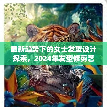 最新趋势下的女士发型设计探索,2024年发型修剪艺术潮流