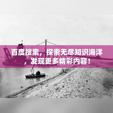 百度搜索,探索无尽知识海洋,发现更多精彩内容!