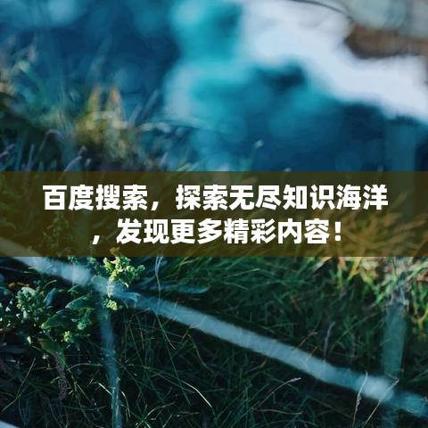 百度搜索,探索无尽知识海洋,发现更多精彩内容!