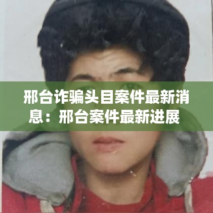 邢台诈骗头目案件最新消息：邢台案件最新进展 