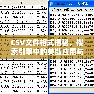 CSV文件格式揭秘,搜索引擎中的关键应用与探究