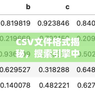 CSV文件格式揭秘,搜索引擎中的关键应用与探究