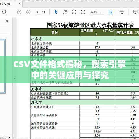 CSV文件格式揭秘,搜索引擎中的关键应用与探究