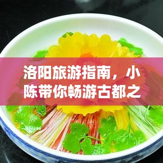 洛阳旅游指南，小陈带你畅游古都之美