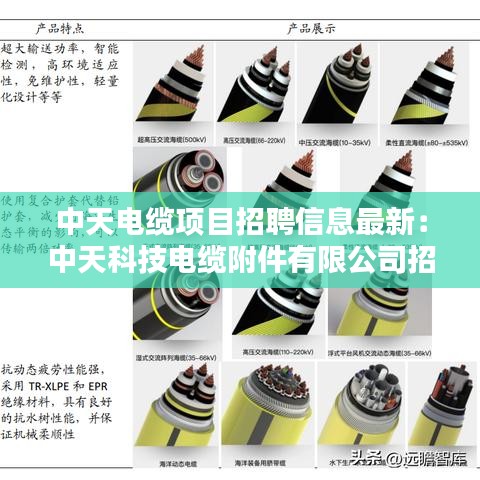 中天电缆项目招聘信息最新:中天科技电缆附件有限公司招聘