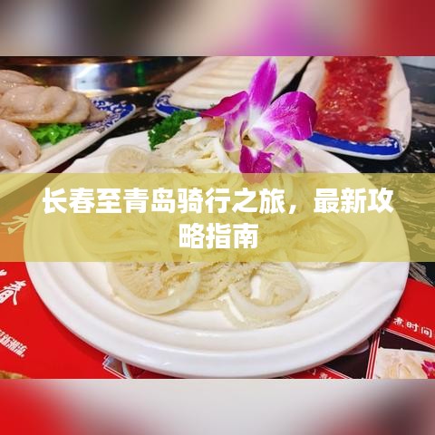 长春至青岛骑行之旅,最新攻略指南