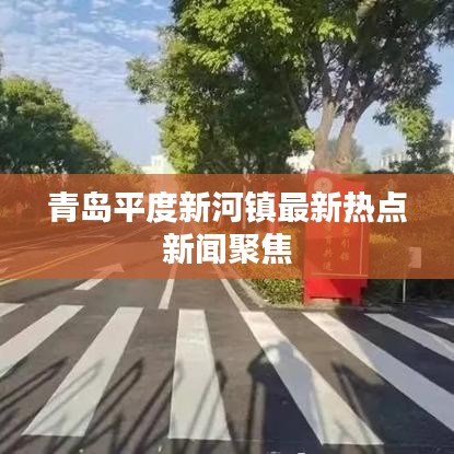 青岛平度新河镇最新热点新闻聚焦