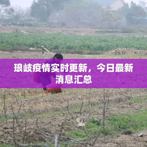 琅岐疫情实时更新,今日最新消息汇总