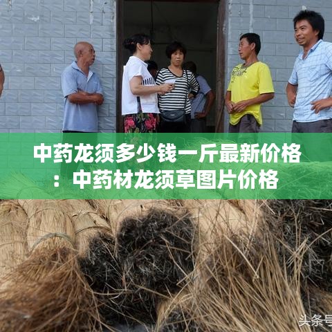 中药龙须多少钱一斤最新价格:中药材龙须草图片价格