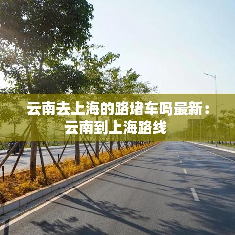 云南去上海的路堵车吗最新:云南到上海路线
