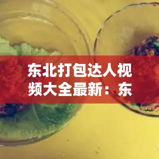 东北打包达人视频大全最新:东北打饭包做法