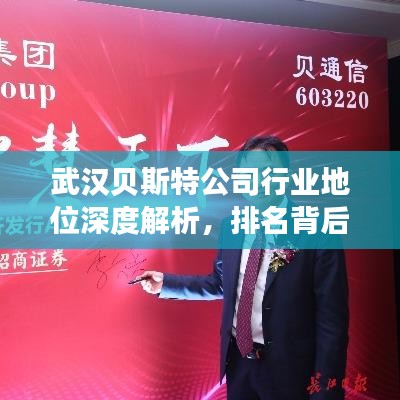 武汉贝斯特公司行业地位深度解析,排名背后的实力与策略观察