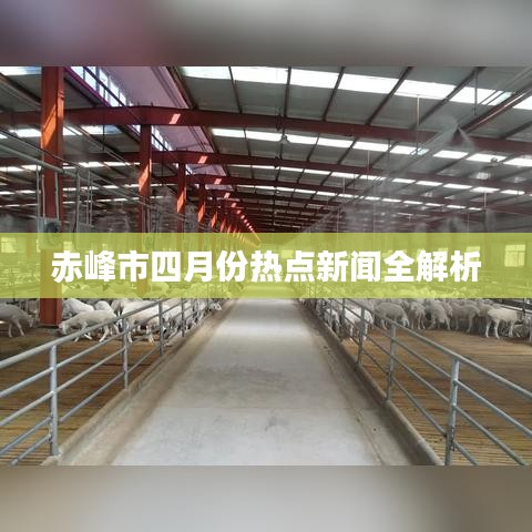 赤峰市四月份热点新闻全解析