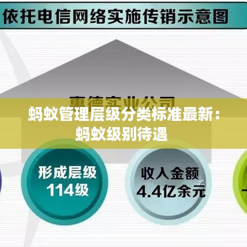 蚂蚁管理层级分类标准最新:蚂蚁级别待遇