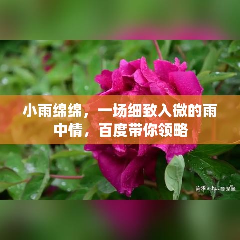 虫书鸟篆 第5页