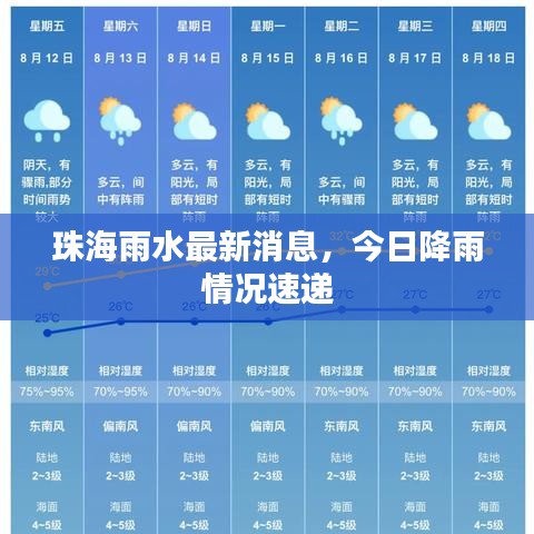 珠海雨水最新消息,今日降雨情况速递