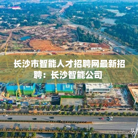 长沙市智能人才招聘网最新招聘：长沙智能公司 
