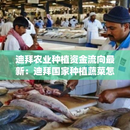 迪拜农业种植资金流向最新:迪拜国家种植蔬菜怎么样
