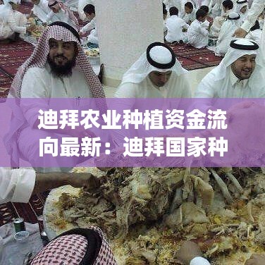 迪拜农业种植资金流向最新:迪拜国家种植蔬菜怎么样