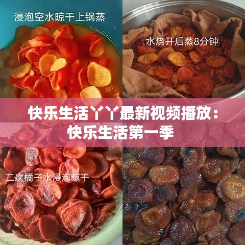 快乐生活丫丫最新视频播放:快乐生活第一季