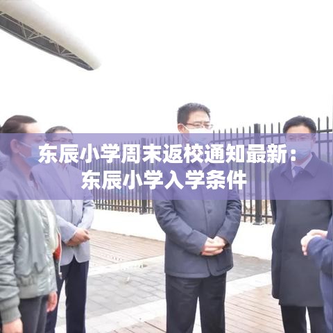 东辰小学周末返校通知最新:东辰小学入学条件