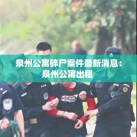 泉州公寓碎尸案件最新消息:泉州公寓出租