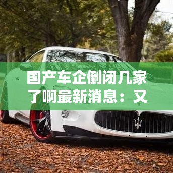 国产车企倒闭几家了啊最新消息:又一国产车企倒闭