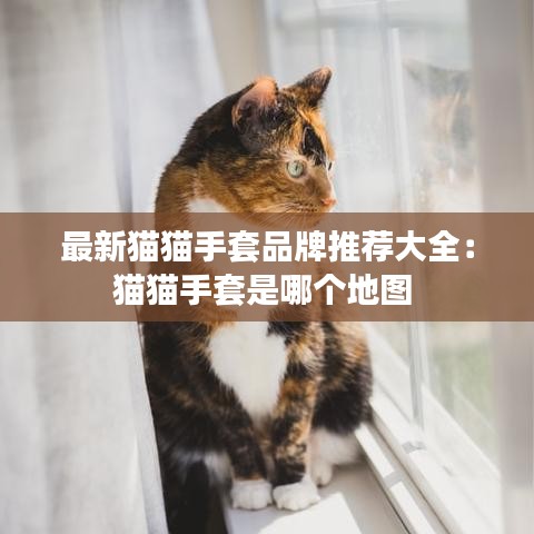 最新猫猫手套品牌推荐大全:猫猫手套是哪个地图
