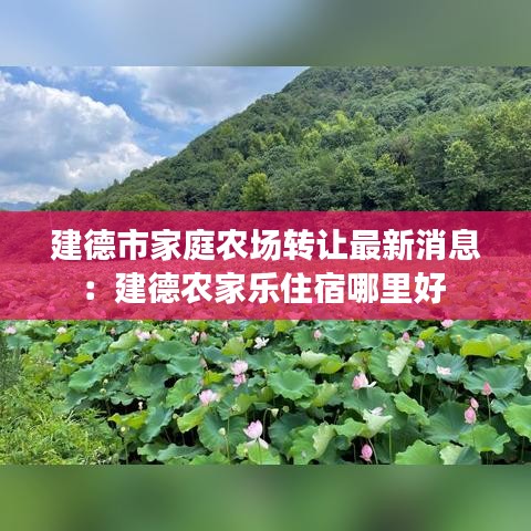 建德市家庭农场转让最新消息:建德农家乐住宿哪里好