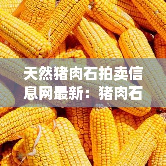 天然猪肉石拍卖信息网最新:猪肉石头价格查询