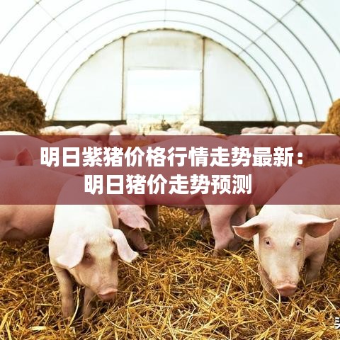 明日紫猪价格行情走势最新:明日猪价走势预测