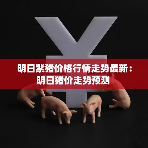 明日紫猪价格行情走势最新:明日猪价走势预测