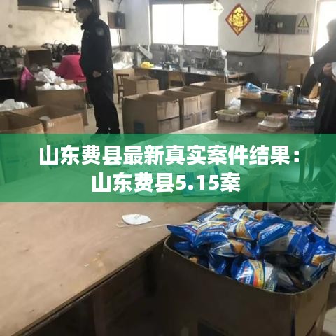 山东费县最新真实案件结果：山东费县5.15案 