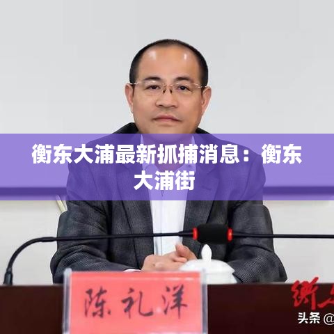 衡东大浦最新抓捕消息：衡东大浦街 