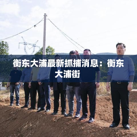 衡东大浦最新抓捕消息:衡东大浦街