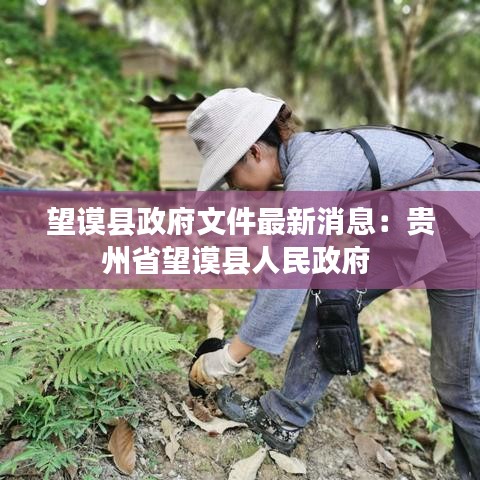 望谟县政府文件最新消息:贵州省望谟县人民政府