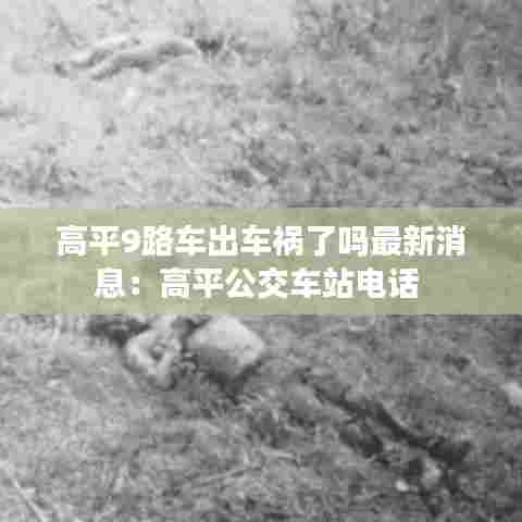 高平9路车出车祸了吗最新消息:高平公交车站电话