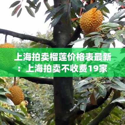 上海拍卖榴莲价格表最新:上海拍卖不收费19家