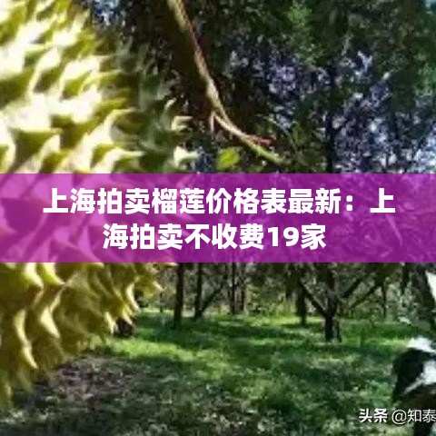 上海拍卖榴莲价格表最新:上海拍卖不收费19家