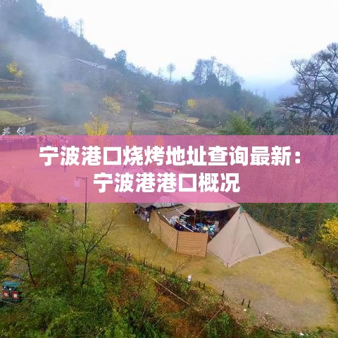 宁波港口烧烤地址查询最新:宁波港港口概况