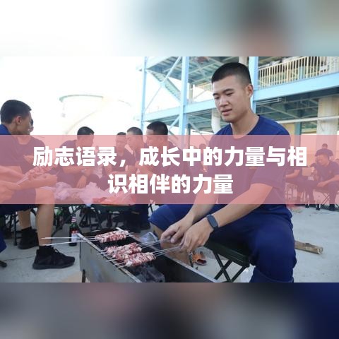 励志语录,成长中的力量与相识相伴的力量