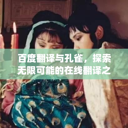 百度翻译与孔雀,探索无限可能的在线翻译之旅